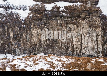 Icelandic cliff textured of vertical rock basalt formation with dry moss and snow and natural geological in Iceland Stock Photo