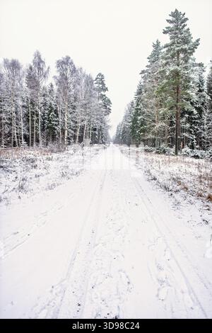 Tire tracks and footprints in the snow on a forest road Stock Photo