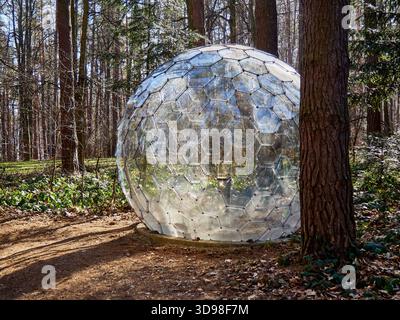 Geometric Dome Structure in a Forest Clearing on a Sunny Day Stock Photo