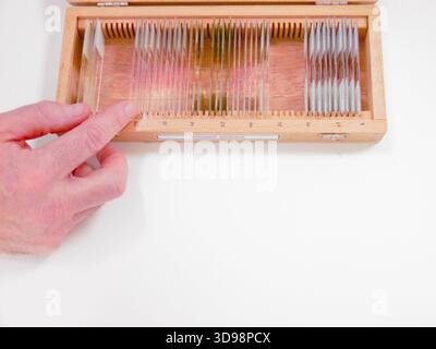 Hand Selecting Glass Slide From Wooden Box, CloseUp Of Technician Gesture Preparing Sample For Microscopy, Stock Photo