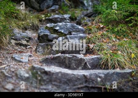 Detailed Close Up of Rough Natural Stone Steps and Rocks Leading Up a Scenic Hiking Trail in a Forest Environment. Stock Photo