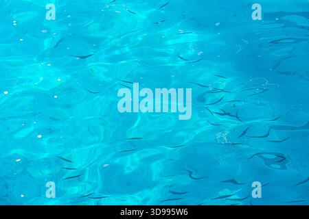 Blue pool water with sun reflections . blue background of sea water. Stock Photo