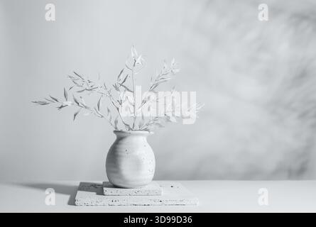 Still life with white dried branches with leaves in light ceramic vase on stone blocks on white background with shadows. Home decoration with dried fl Stock Photo