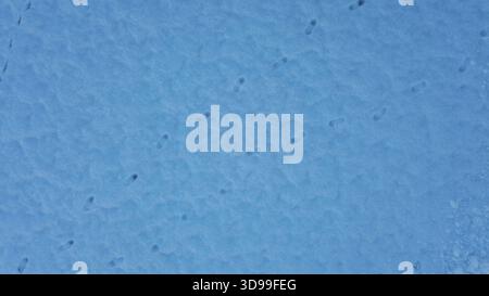 Snow-covered ground with scattered human footprints, capturing quiet movement through a winter landscape. Stock Photo