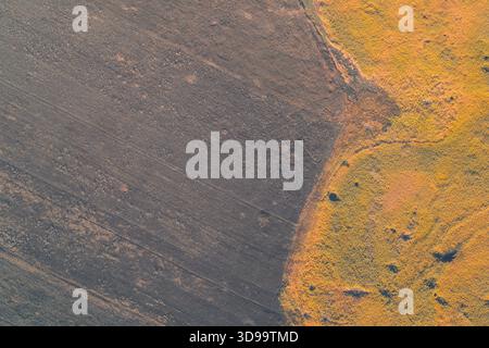 Dirt road dividing a dark plowed field and a bright green meadow under ...