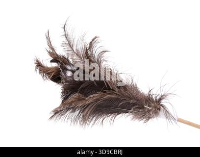 Brush ostrich feather on the white background Stock Photo