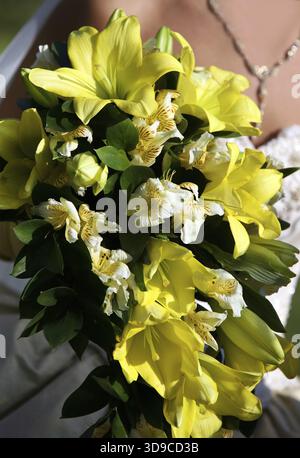 The bride holds a chic wedding bouquet of roses and peony Stock Photo ...