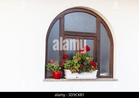 Rounded wood frame window with red geraniums flower pots and white wall Stock Photo