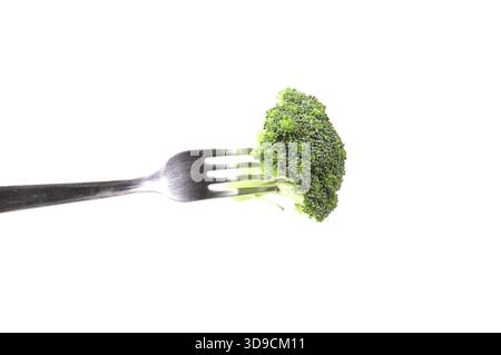 Broccoli floret on a fork. Isolated on a white background Stock Photo