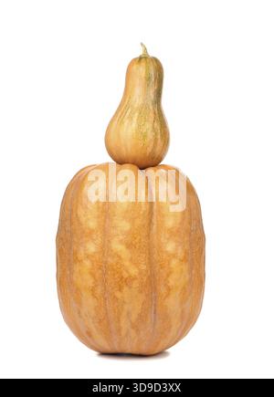 Stack of white pumpkins isolated on a white background Stock Photo - Alamy
