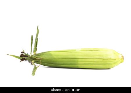 Closed corncob isolated on a white background Stock Photo