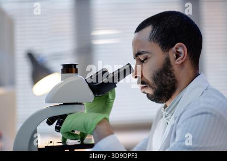 Young Adult Man Examining Samples Using Microscope in Laboratory Stock Photo