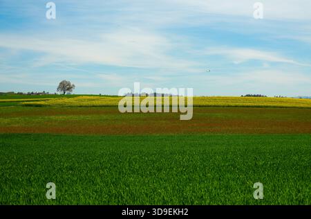 Abstract scenic landscape showing colorful horizontal layers of agricultural fields with strips of green grass, red soil, and yellow rapeseed flowers Stock Photo