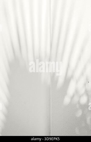 Soft palm leaf shadows cast on a light neutral background. Color of the Year 2026, Cloud Dancer Stock Photo