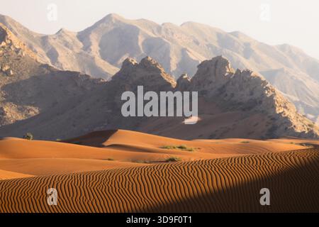 View of golden dunes ripple across the arid landscape, contrasted by jagged, sun-drenched mountains fading into the horizon, Rub' al-Khali, United Ara Stock Photo