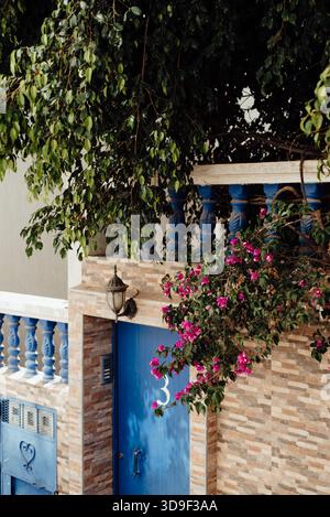 Bougainvillea Flowers Above Blue Door Number 3 in Taghazout, Morocco Stock Photo