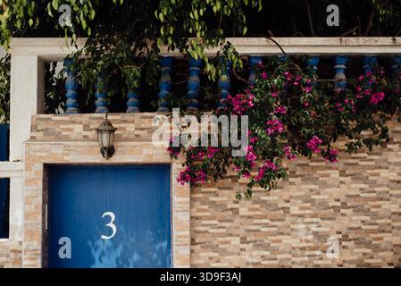 Taghazout Blue Door with Number 3 and Bougainvillea in Morocco Stock Photo