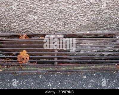 Close-up of a weathered metal storm drain grate on a textured urban surface filled with fallen autumn leaves Stock Photo