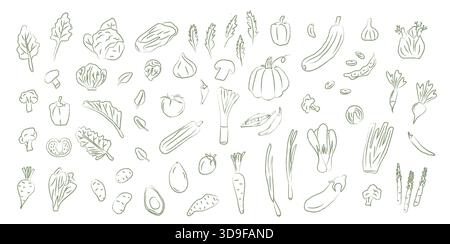 Colored vegetable doodle set in crayon sketch style. Hand drawn garden produce icons for healthy food branding, packaging, and pattern design. Vector Stock Vector
