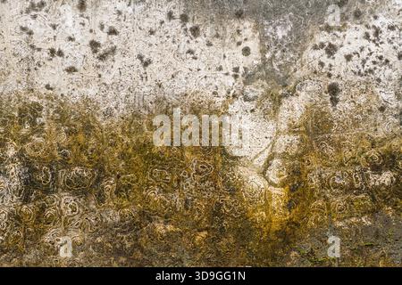 Highly detailed abstract texture featuring golden, olive, and brown mineral staining on a white-grey weathered concrete wall, forming intricate concen Stock Photo