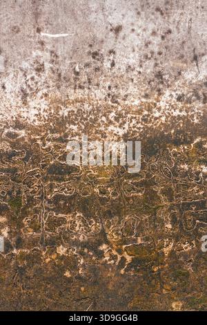 Vertical, abstract, and highly textural background featuring a network of fine white "veins" and flowing lines over a rich brown, gold, and dark green Stock Photo