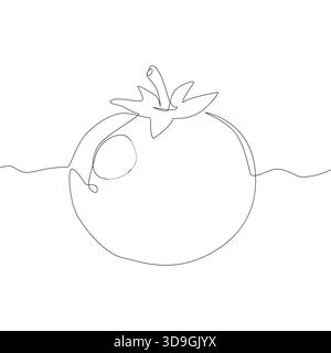 Tomato vegetable icon. Minimalist line art. Organic food concept Vector. Fresh garden illustration. Stock Vector