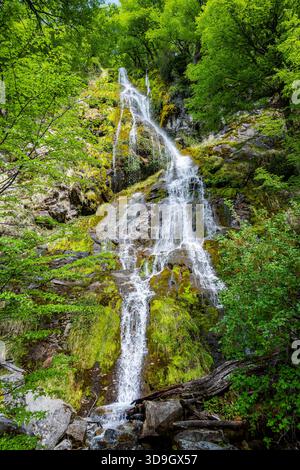 Water cascades over moss covered rocks in the mountains of southern Patagonia. Santa Cruz, Argentina. Stock Photo