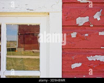 Red Barn  reflection in  windowpane on red dutch lap sided shed at Carter Historic Farm, a nature conservancy property in Bowling Green Ohio Stock Photo