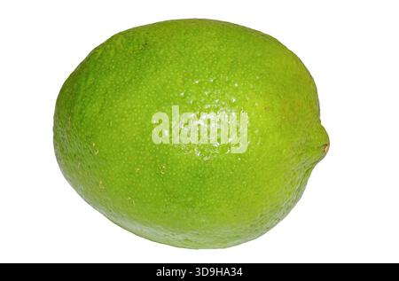 Lime isolated on white background Stock Photo