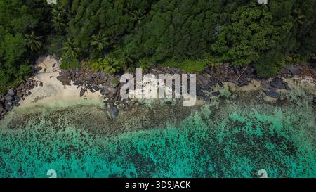 Top-Down Shot of Granite Boulders and Palm Trees on a Secluded Beach Stock Photo