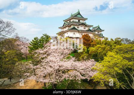 Tenshu of Wakayama Castle, a Japanese castle located in Wakayama, Kansai, Japan. Stock Photo