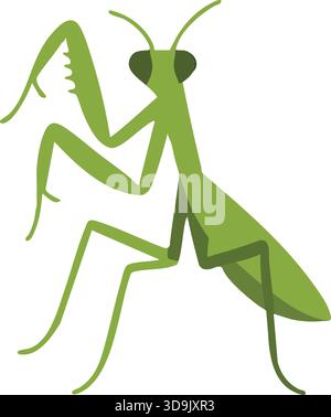 A bright green praying mantis standing upright with folded raptorial forelegs and triangular head. Stock Vector