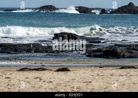 White ocean waves break against dark, rugged rock formations near a sandy beach, with a small white bird perched on a rock. Stock Photo