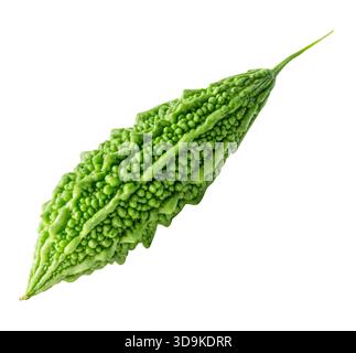 Single green bitter gourd or bitter melon is isolated on white background with clipping path. Stock Photo