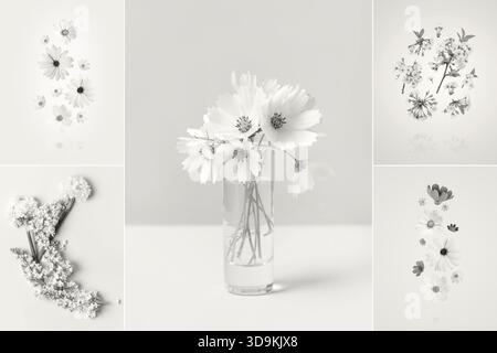Presentation of a trending color 2026 - Cloud Dancer in the form of a collage of different shapes and textures. Various types flowers of cosmea, cherry blossoms, daffodils, lilacs. Color concept Stock Photo