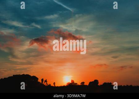 Enchanting sunset. A horizon of black trees and hills against a dark blue sky with pink clouds. Stock Photo