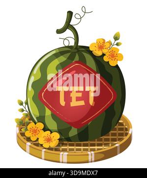 Tet Watermelon with Hoa Mai Ochna Yellow Flowers on Bamboo Tray – Vietnamese Lunar New Year Vector Illustration Stock Vector