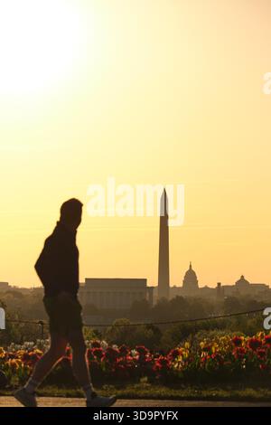 Early morning view of Lincoln memorial with silhouette of walking man Stock Photo