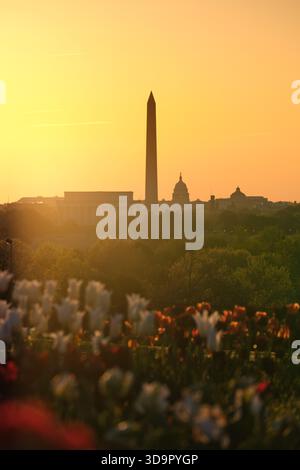 Washington DC from the Netherlands Carillon flower bed Stock Photo
