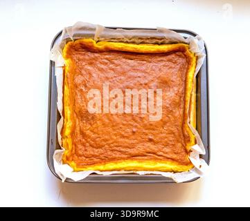 Baked New York style cheesecake in baking tray Stock Photo