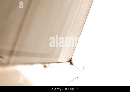 Mold formation in a white window on the silicone seal due to excessive air humidity Stock Photo