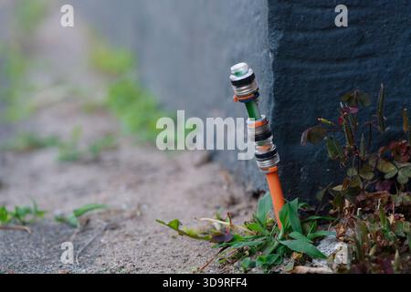 Fiber optic connection was installed at a house between the footpath with paving stones and the house wall but not yet led inside for fast internet in Stock Photo