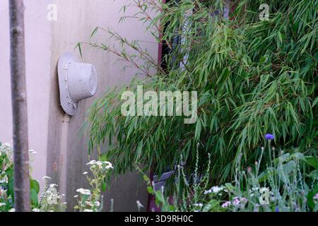 A white summer hat with woven pattern hangs on a painted pipe running along a wall. Fresh bamboo grows nearby, creating natural contrast against the u Stock Photo