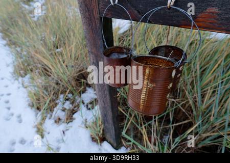 Wooden stake with horizontal bar and two metal hooks holding rusty tin cans with wire handles containing water amid snow with dry grass visible winter Stock Photo