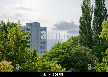 A tall concrete tower stands in the distance beyond leafy bushes and trees. The gray facade rises above the green edge of the park, softly lit by clea Stock Photo
