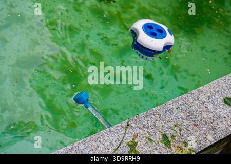 Green swimming pool with algae and floating chlorine dispenser. Concept of water maintenance, summer cleaning, hygiene, and backyard pool care. Stock Photo