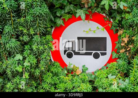 A round red traffic sign with a black truck sits in a bed of ivy, leaves climb the pole and frame the white circle, the sign feels absorbed into a liv Stock Photo