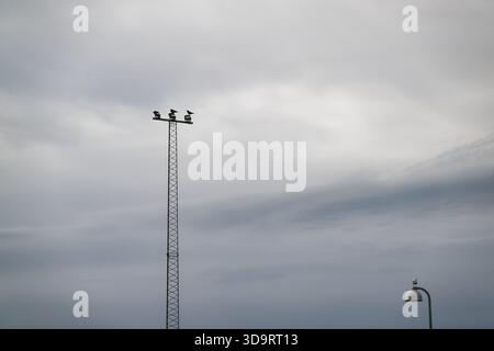 Under a gray overcast sky a slender tower rises with three lamps, on every lamp a dark raven perches and watches the open space, the mood is stark qui Stock Photo