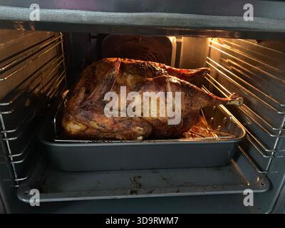A perfectly roasted turkey in an oven, showcasing golden-brown skin and juicy texture, ready for a festive meal. Stock Photo