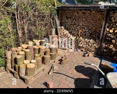 A neatly stacked pile of firewood logs on a wooden pallet, with a larger stump nearby. In the background, a shed is filled with more stacked firewood. Stock Photo